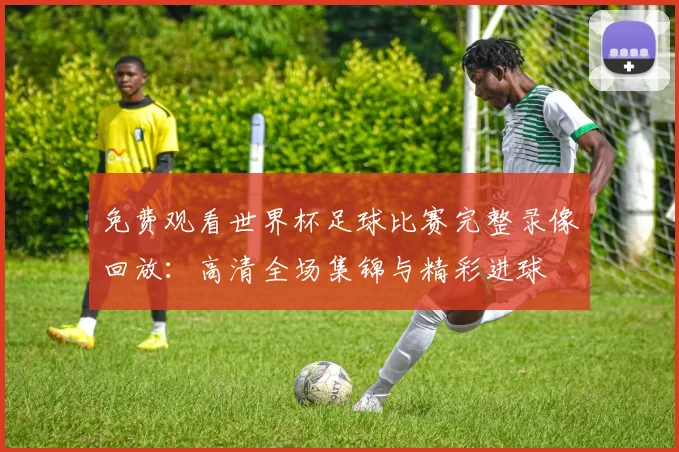 免费观看世界杯足球比赛完整录像回放:高清全场集锦与精彩进球